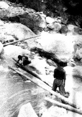 Die »Brücke« über den Rakhta Khola. Es gab keine Möglichkeit, diesen reißenden Bach zu durchwaten Dach der Welt