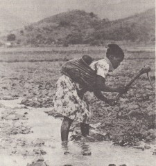 Zimbabwe